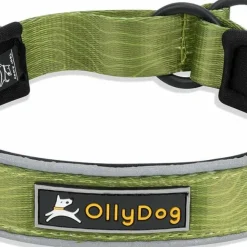 OllyDog Martingale Reflective Comfort Collar Cactus