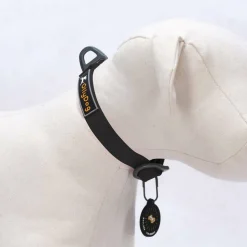 OllyDog Tilden Collar Black