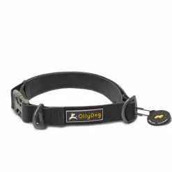 OllyDog Tilden Collar Black