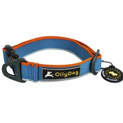 OllyDog Urban Trail Reflective Collar Air Blue