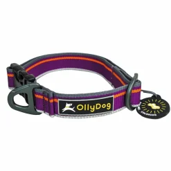OllyDog Urban Trail Reflective Collar Wild Aster