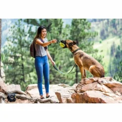 OllyDog Urban Trail Reflective Collar Anthracite