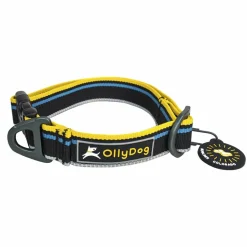 OllyDog Urban Trail Reflective Collar Anthracite
