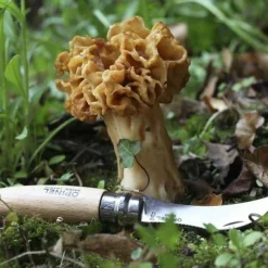 Opinel Mushroom Knife N°08