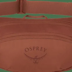 Osprey Daylite Waist Porcelain Orange