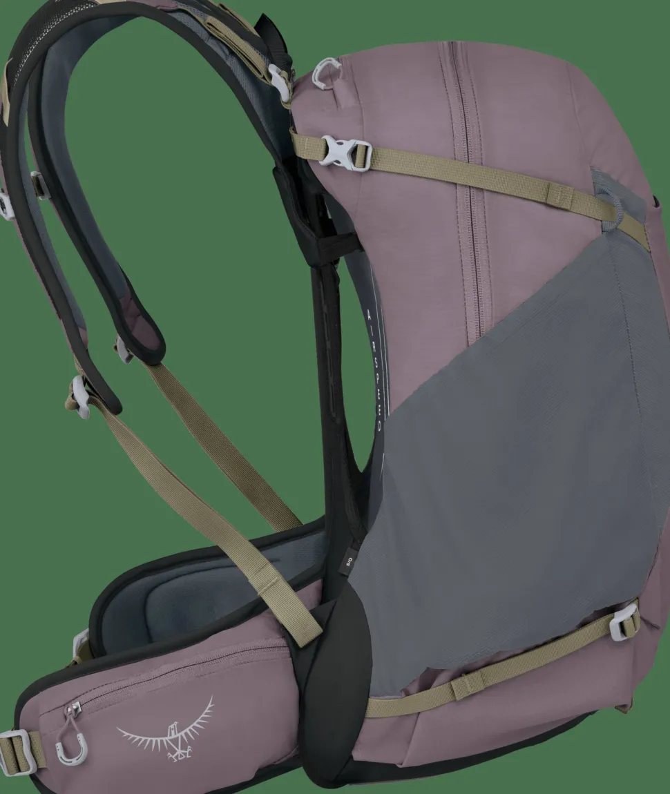 Osprey Hikelite 28 Graphite Purple
