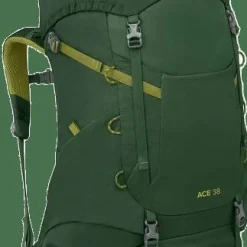 Osprey Kids' Ace 38 Green Canopy/Matcha Green