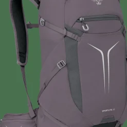 Osprey Sportlite 30 Graphite Purple