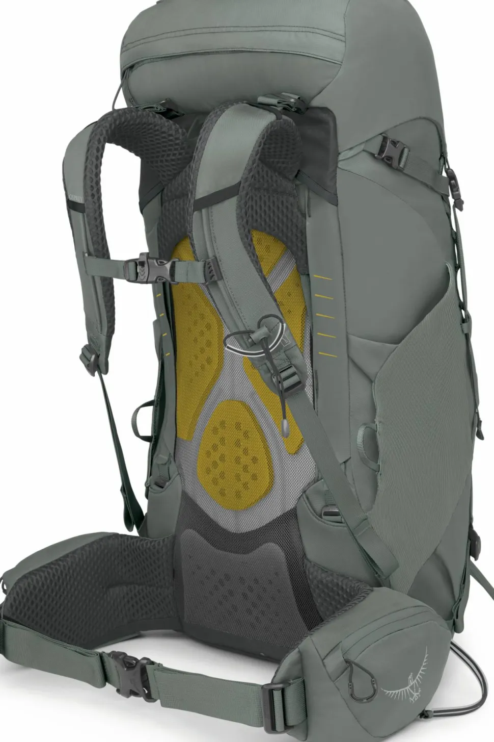 Osprey Women's Kyte 38 Rocky Brook Green