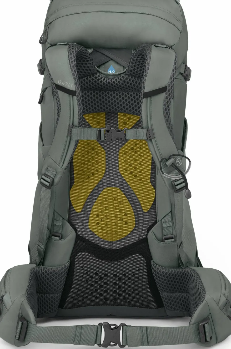 Osprey Women's Kyte 38 Rocky Brook Green