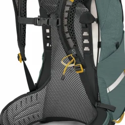Osprey Women's Sirrus 24 Succulent Green