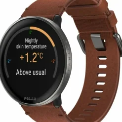 Polar Ignite 3 Titanium Bronze