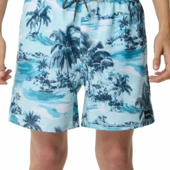 Rip Curl Men's Dreamers Volley Boardshorts Glacier Blue