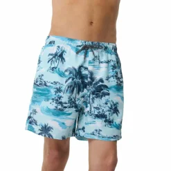 Rip Curl Men's Dreamers Volley Boardshorts Glacier Blue