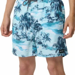 Rip Curl Men's Dreamers Volley Boardshorts Glacier Blue