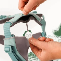 Ruffwear Front Range Harness River Rock Green