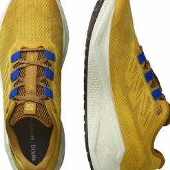 Salomon Men's Aero Blaze 3 Grvl Spicy Mustard/Vanilla Ice/Nautical Blue