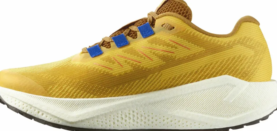 Salomon Men's Aero Blaze 3 Grvl Spicy Mustard/Vanilla Ice/Nautical Blue