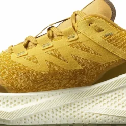 Salomon Men's Aero Glide 3 Grvl Spicy Mustard/vanilla Ice/deep Lich