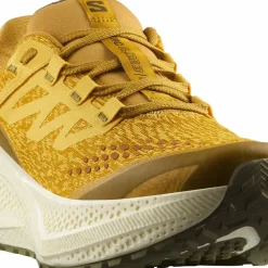 Salomon Men's Aero Glide 3 Grvl Spicy Mustard/vanilla Ice/deep Lich