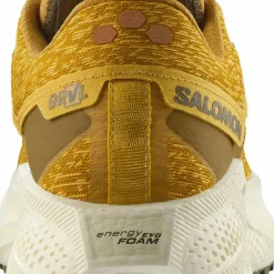 Salomon Men's Aero Glide 3 Grvl Spicy Mustard/vanilla Ice/deep Lich