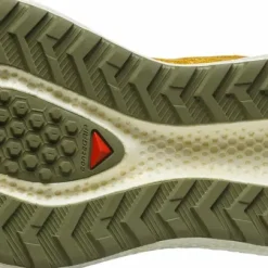 Salomon Men's Aero Glide 3 Grvl Spicy Mustard/vanilla Ice/deep Lich