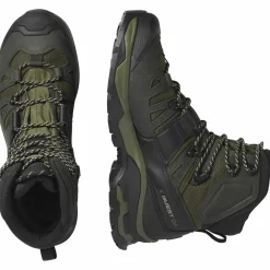 Salomon Men's Quest 4 Gore-Tex Olive Night/Peat/Safari