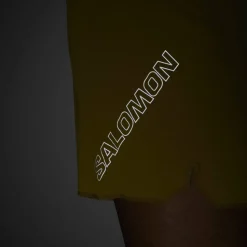 Salomon Men's Sense Aero 5'' Shorts Brilliant Olive