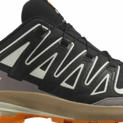 Salomon Men's XA 3D Pro V9 GORE-TEX Black/Vanilla Ice/Turmeric