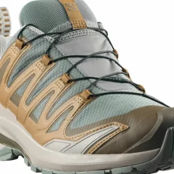 Salomon Men's XA 3D Pro V9 GORE-TEX Sedona Sage/Plantation/Paloma