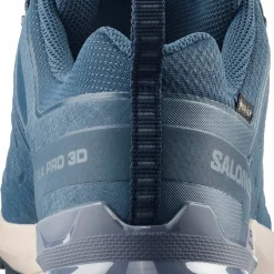 Salomon Men's XA 3D Pro V9 GORE-TEX Spellbound/Grisaille/Maritime Blue