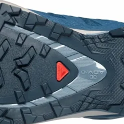 Salomon Men's XA 3D Pro V9 GORE-TEX Spellbound/Grisaille/Maritime Blue