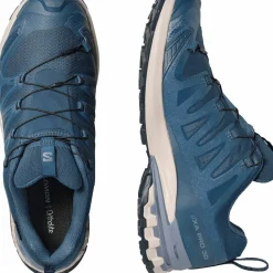 Salomon Men's XA 3D Pro V9 GORE-TEX Spellbound/Grisaille/Maritime Blue