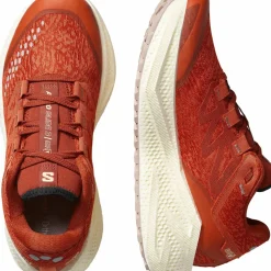 Salomon Women's Aero Glide 3 Grvl Burnt Ochre/vanilla Ice/etherea