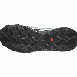 Salomon Women's Speedcross 6 GORE-TEX Flint Stone/Black/Heather