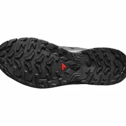 Salomon Women's XA Pro 3D V9 Black/Gull/Excalibur