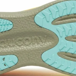Saucony Men's Triumph 23 Vizigold/laurel