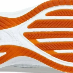 Saucony Women's Triumph RFG Mist