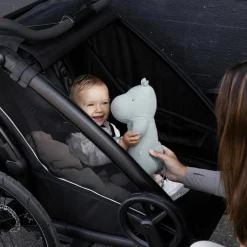 Thule Chariot Sport 1 G3 Black