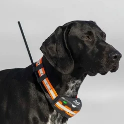 Tracker Artemis Black