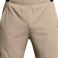 Under Armour Men's Ua Vanish Woven 2in1 Sts Brown